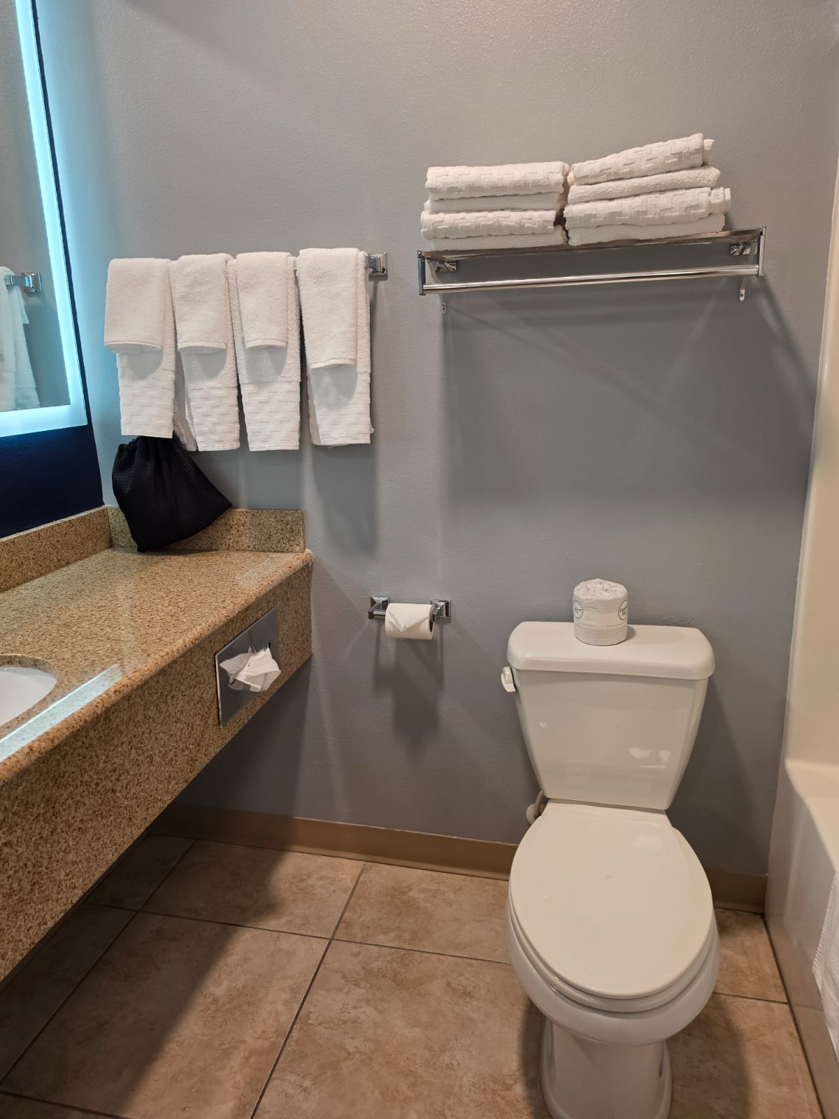 Guest bathroom with vanity, toilet and towel racks — Best Western Vernal Inn, Vernal Utah